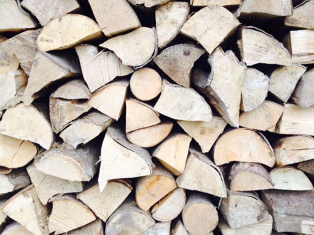 Seasoned Firewood | Tree Amigos - Tree Surgery, Tree Maintenance & Tree Care in Sussex